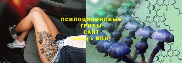 бутират Алексин